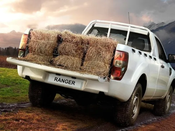 Một người đàn ông đang xem xét chiếc xe bán tải cũ để mua trả góp