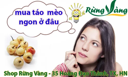 Mua táo mèo tươi tại Shop Rừng Vàng là lựa chọn đúng đắn của bạn