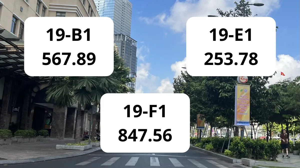 19 là tỉnh nào? Biển số xe 19 quy định theo từng khu vực tỉnh Phú Thọ như thế nào?