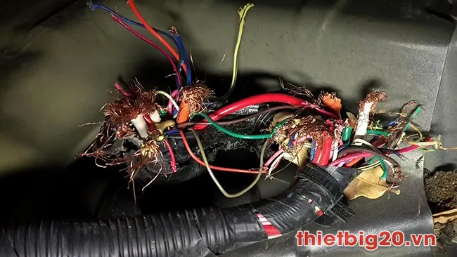 Dây điện trong khoang máy bị chuột cắn đứt gây cách chống chuột cho xe ô tô