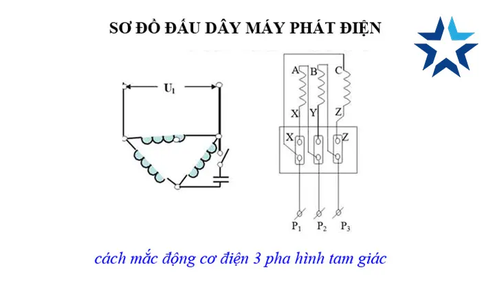 Minh họa sơ đồ cách đấu dây máy phát điện ô tô ba pha kiểu hình sao