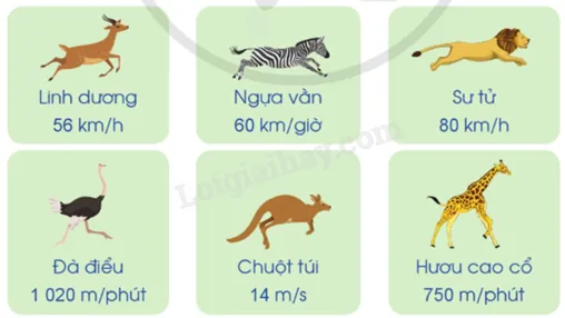 Hình ảnh minh họa vận tốc của nhiều con vật khác nhau