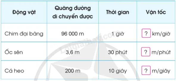 Bảng tính toán về quãng đường, thời gian và vận tốc