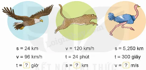 Hình minh họa bảng dữ liệu cần điền số thích hợp