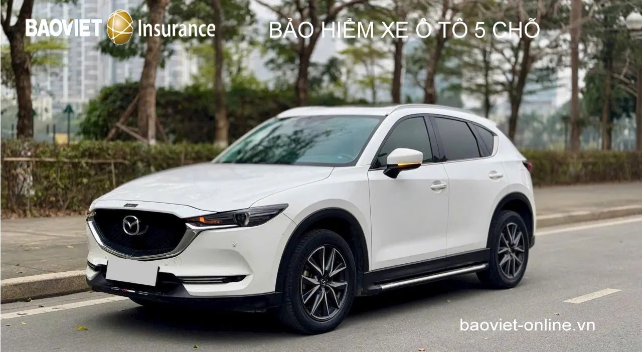 Bảo Hiểm Bắt Buộc Xe Ô Tô: Cập Nhật Phí Và Quy Định Mới Nhất