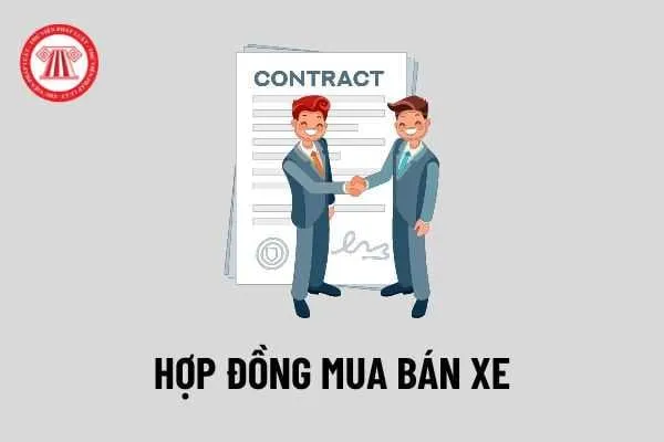 Mẫu Hợp đồng mua bán xe máy, ô tô cũ năm 2024? Những lưu ý quan trọng khi lập hợp đồng mua bán xe?