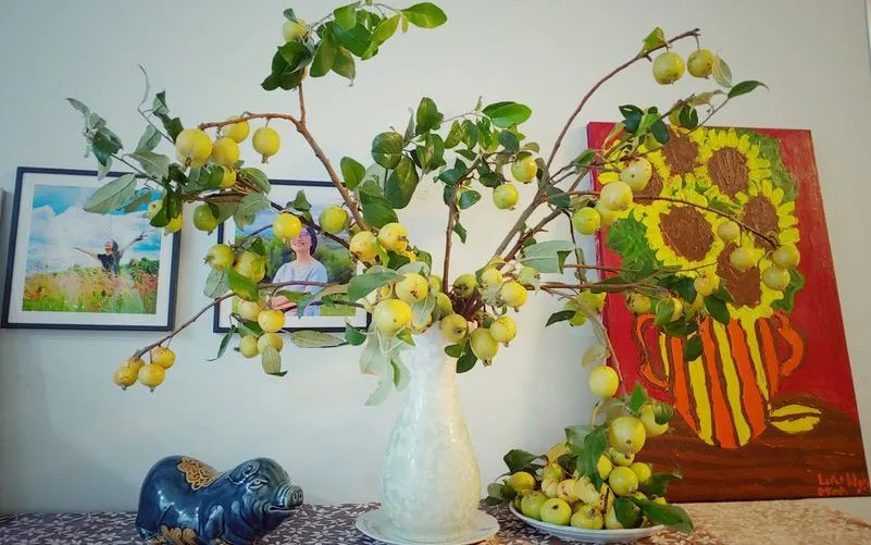 Cành táo mèo trang trí nhà cửa, không nên đặt trong xe ô tô