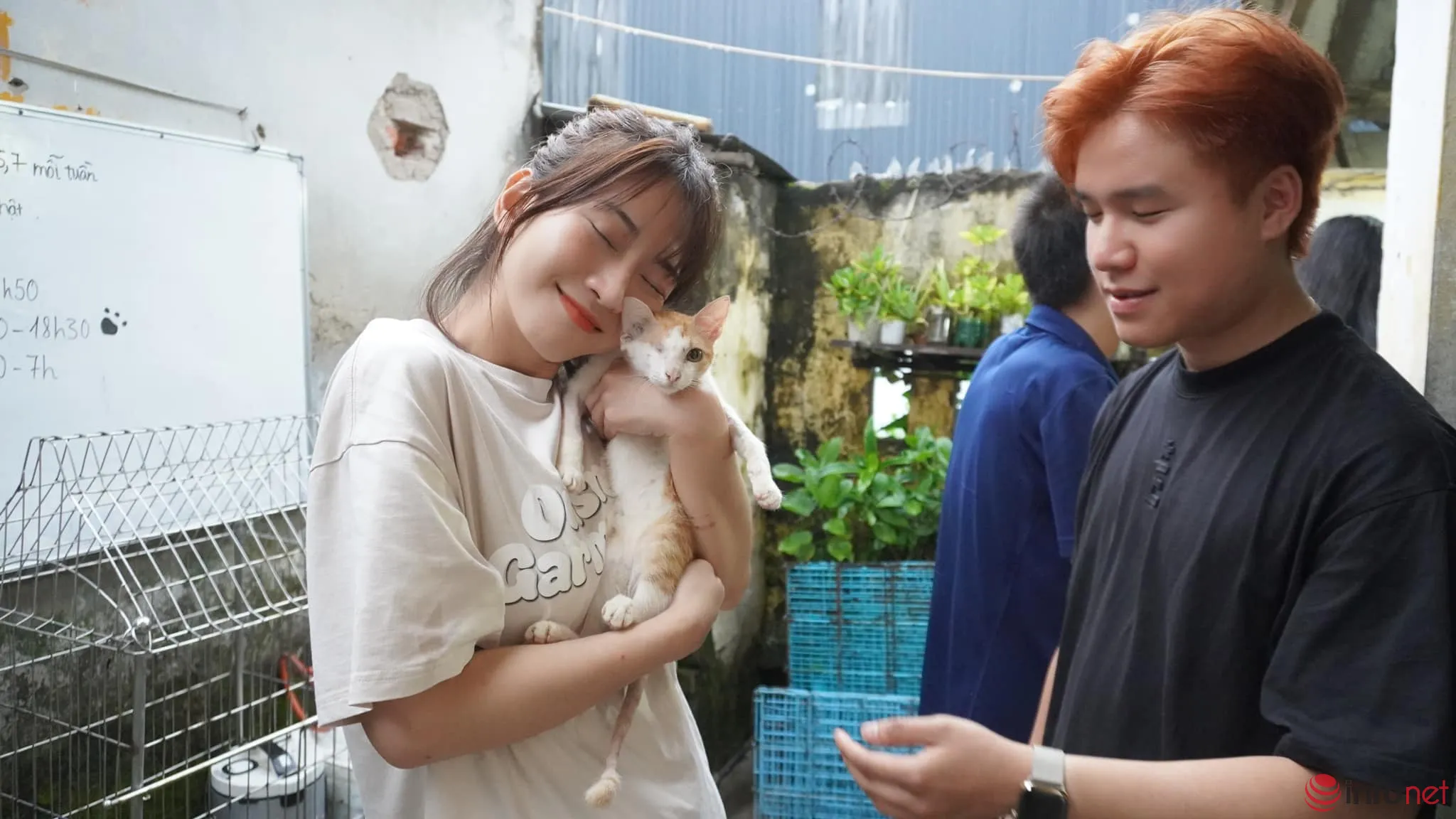 Bảng giá dịch vụ chăm sóc nội thất ô tô tại Hà Nội