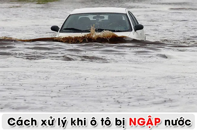 Tài xế đang thực hiện cách xử lý ô tô bị ngập nước khẩn cấp