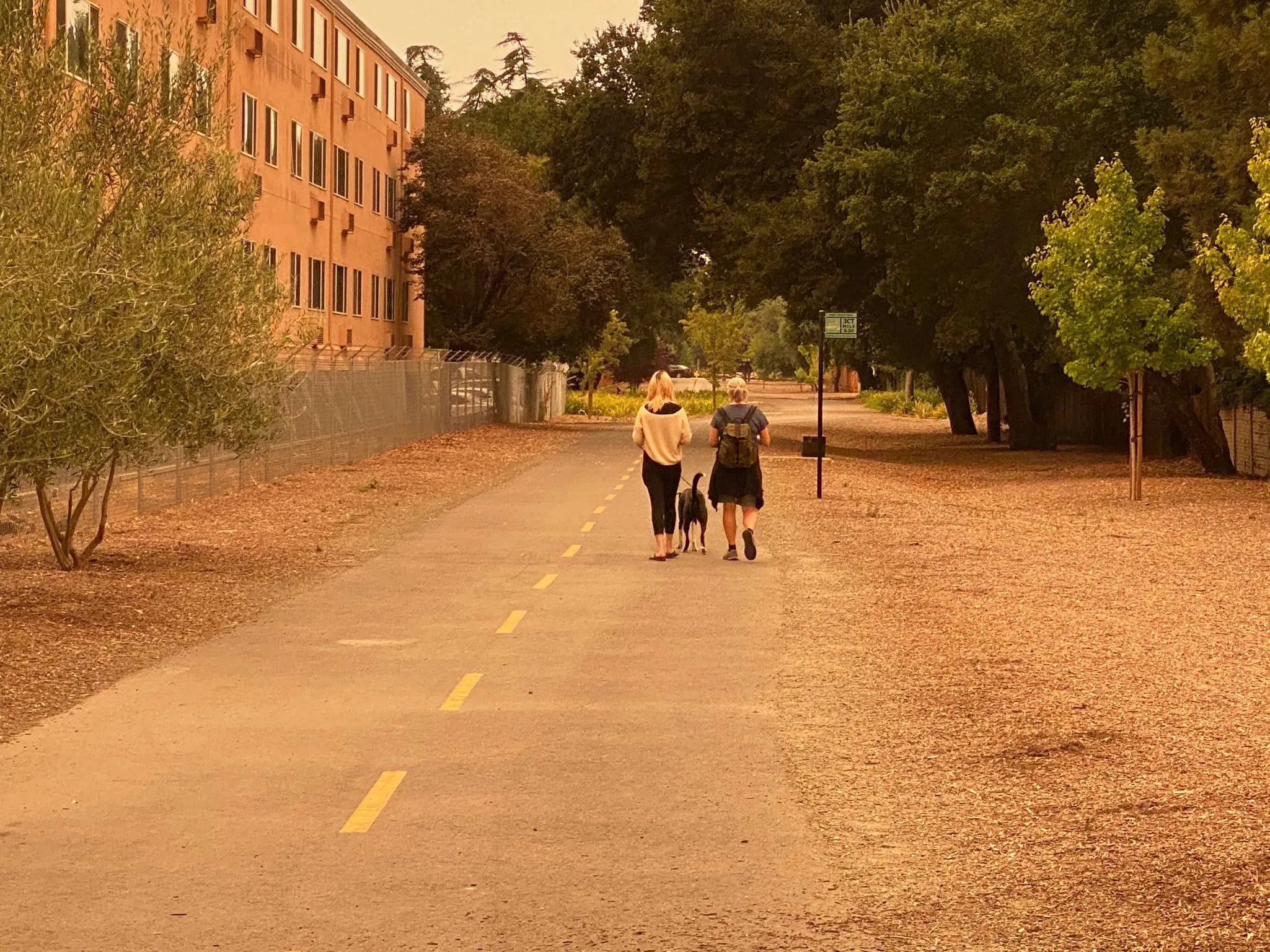 Lỗi Ô Tô Đi Vào Đường Cấm: Mức Phạt Và Cách Tránh Mất Tiền Oan