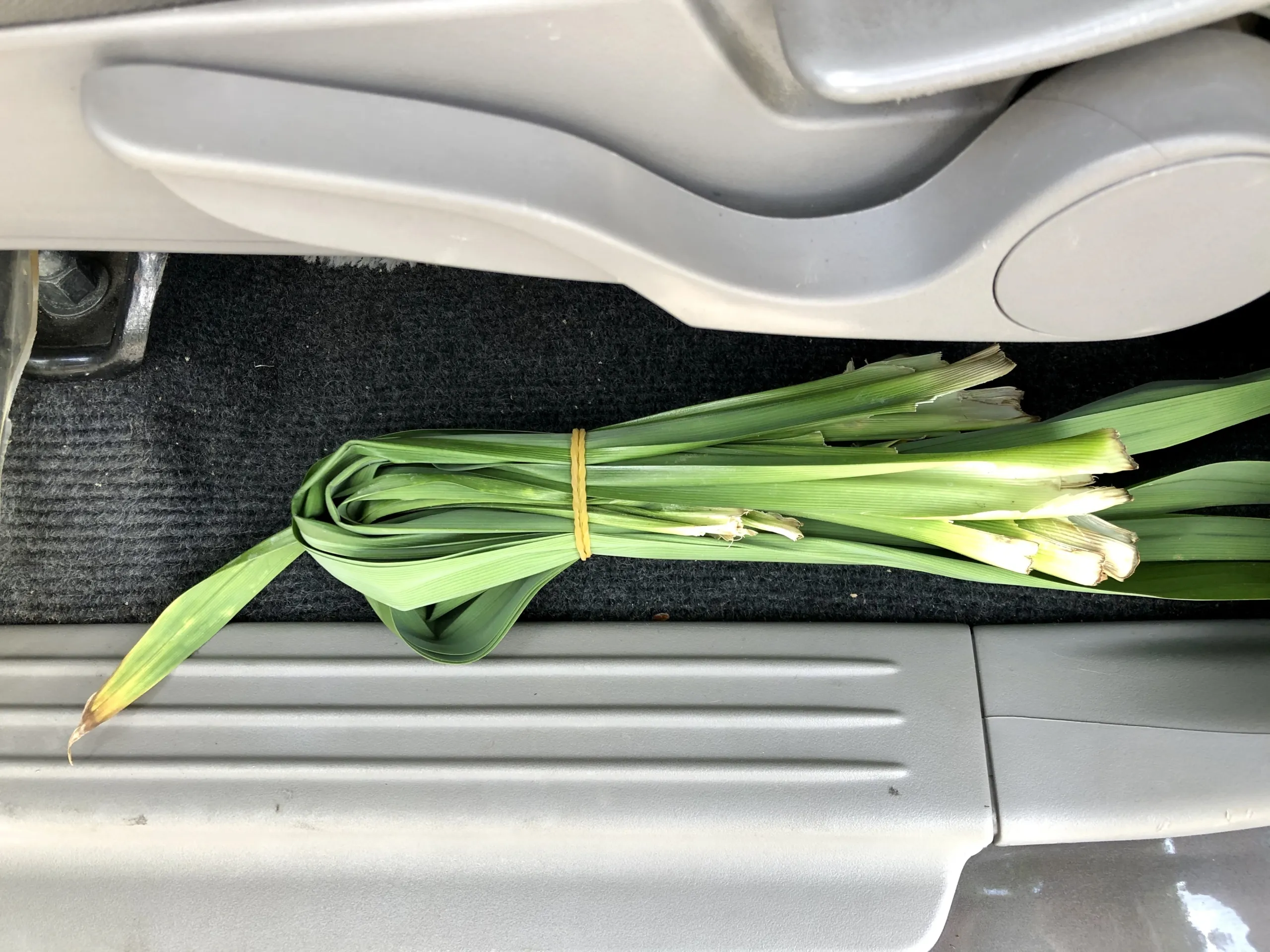 Lá dứa cũng có thể giúp khử mùi xe ô tô hay xe tải hiệu quả và ít tốn kém