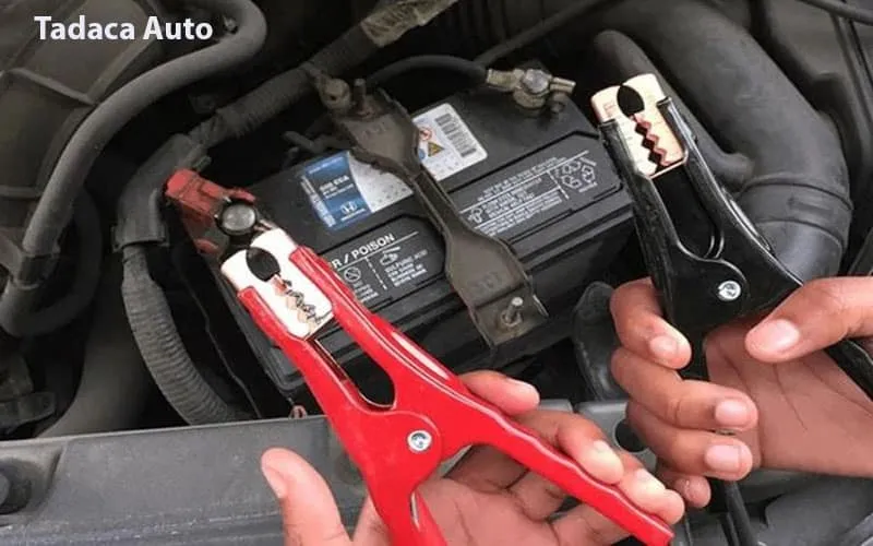 Tiêu chí chọn mua dây câu