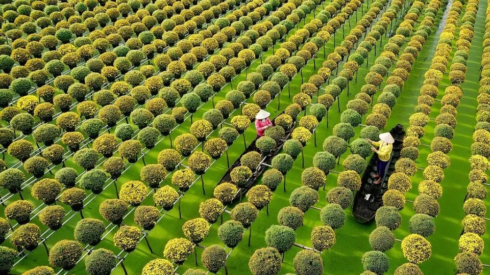 Biển số 66 M1 thuộc huyện Tháp Mười, tỉnh Đồng Tháp