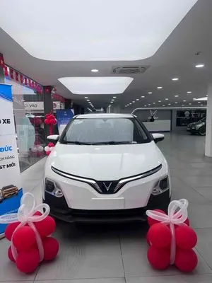 Xe đạp điện giá rẻ