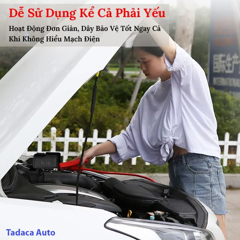 Phân biệt dây câu chính hãng