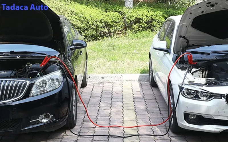 Lưu ý an toàn khi sử dụng dây câu