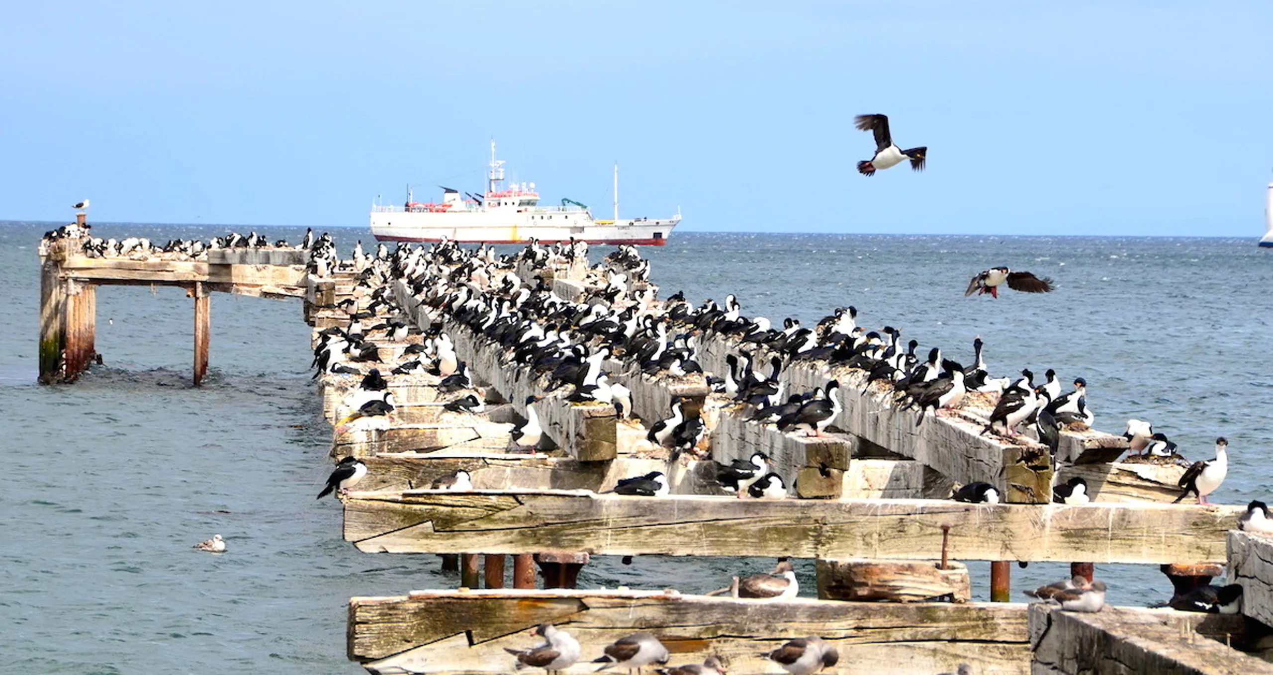 Biển Số 87 Có Ý Nghĩa Gì? Giải Mã Phong Thủy Và Vận May