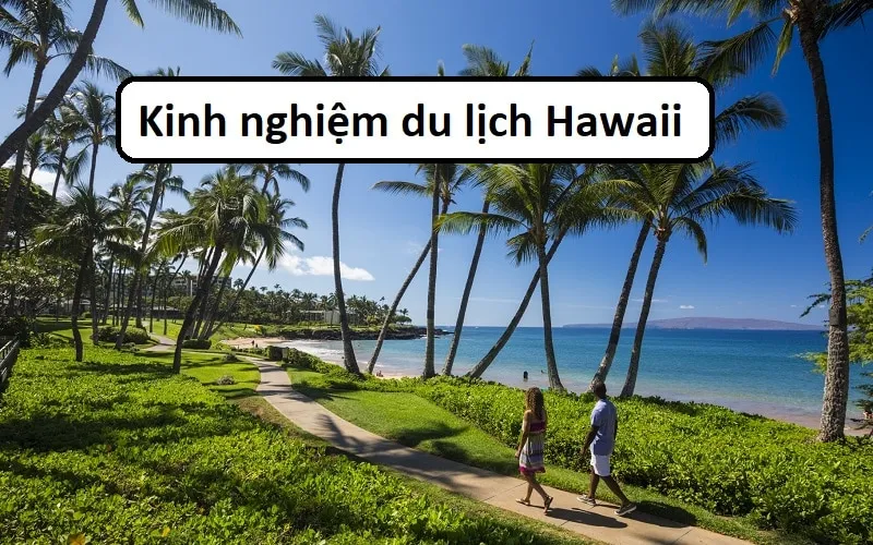 Kinh Nghiệm Đi Vũng Tàu Bằng Ô Tô: Hướng Dẫn Toàn Diện