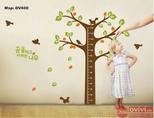 Decal dán tường Hàn Quốc với họa tiết tinh xảo và màu sắc tươi sáng