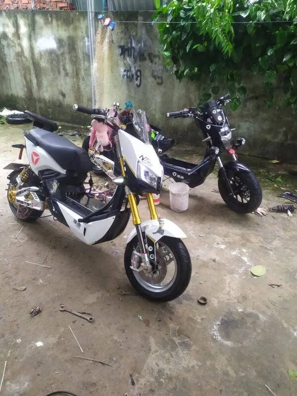 Ảnh xe điện độ 1