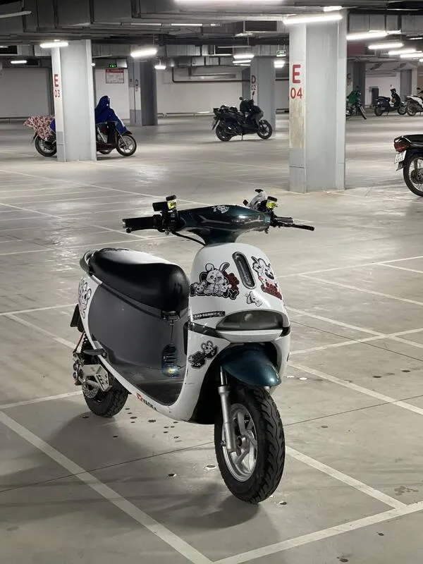 Ảnh xe điện độ 10