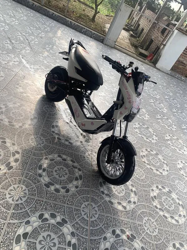 Ảnh xe điện độ 14