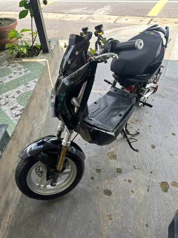 Ảnh xe điện độ 2