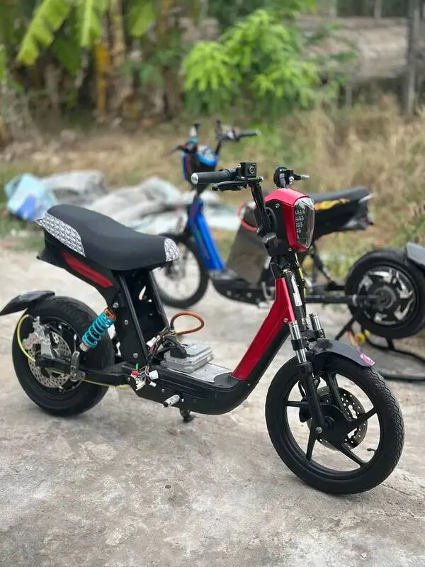 Ảnh xe điện độ 23