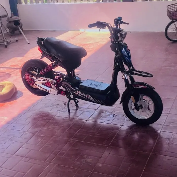 Ảnh xe điện độ 25