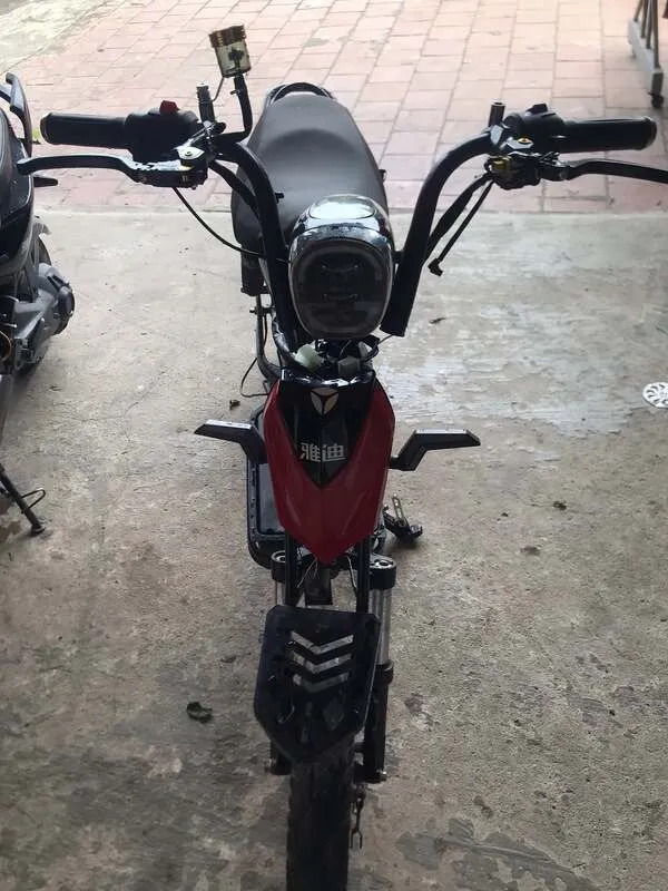 Ảnh xe điện độ 27