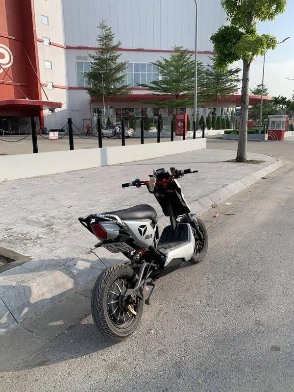 Ảnh xe điện độ 29