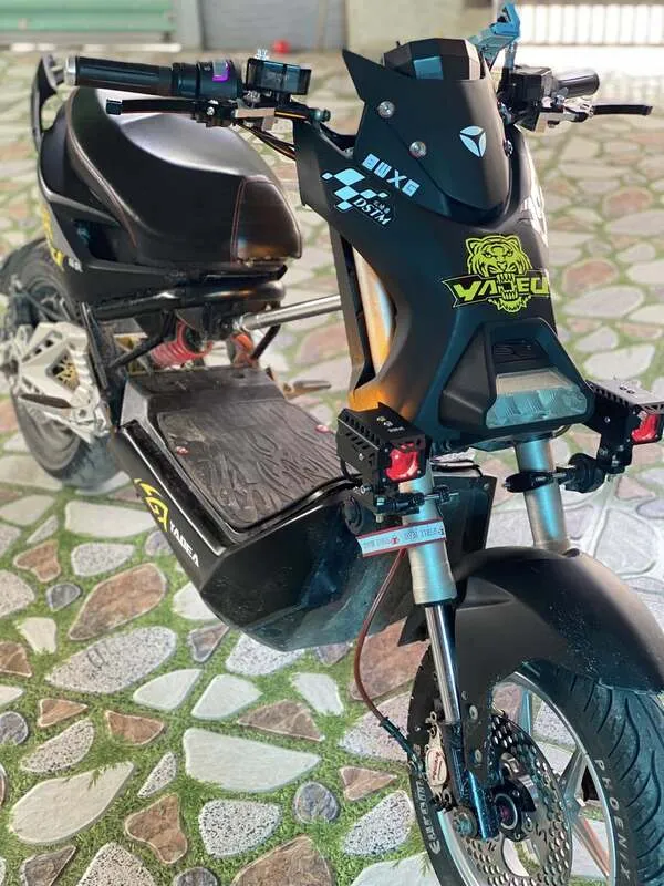 Ảnh xe điện độ 3