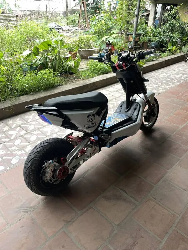 Ảnh xe điện độ 33