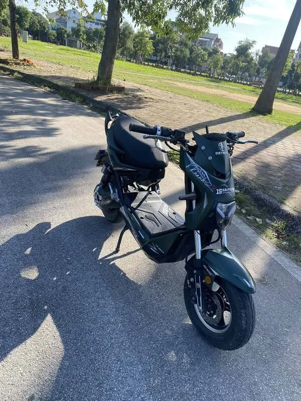 Ảnh xe điện độ 37