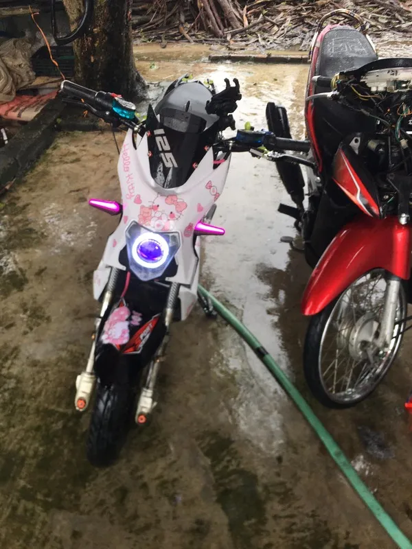 Ảnh xe điện độ 5