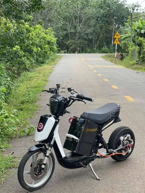 Ảnh xe điện độ 6