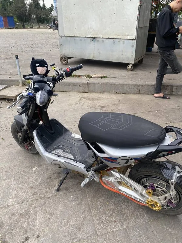 Ảnh xe điện độ 9