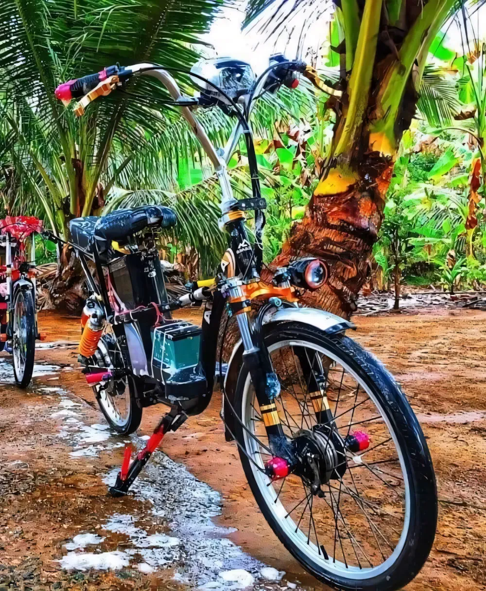 ảnh xe điện độ kiểng 3