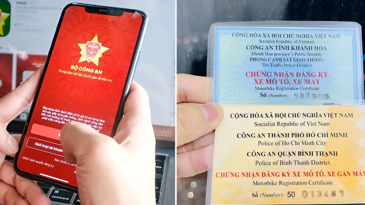 bấm biển số xe trên vneid Một Cách Chi Tiết Nhất