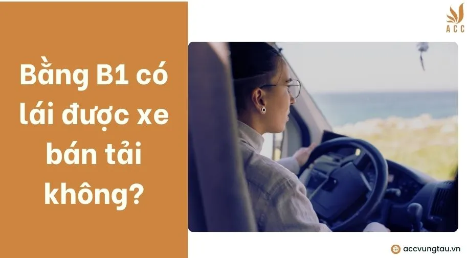 Lái xe bán tải bằng bằng B1 phải tuân thủ giới hạn tổng trọng tải 3.500kg và không kinh doanh vận tải