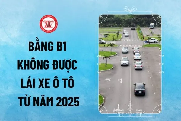 Bằng lái xe ô tô B1: Phân hạng giấy phép lái xe từ năm 2025