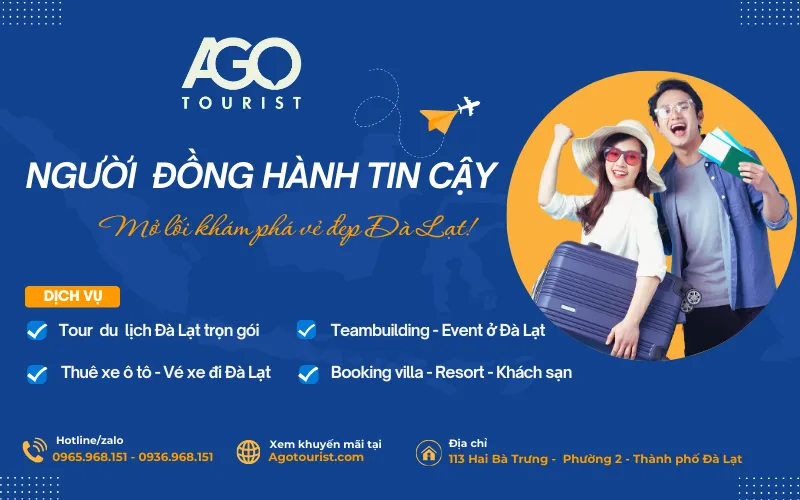 Xe khách Phan Thiết đi Đà Lạt với nhiều lựa chọn từ giường nằm đến limousine