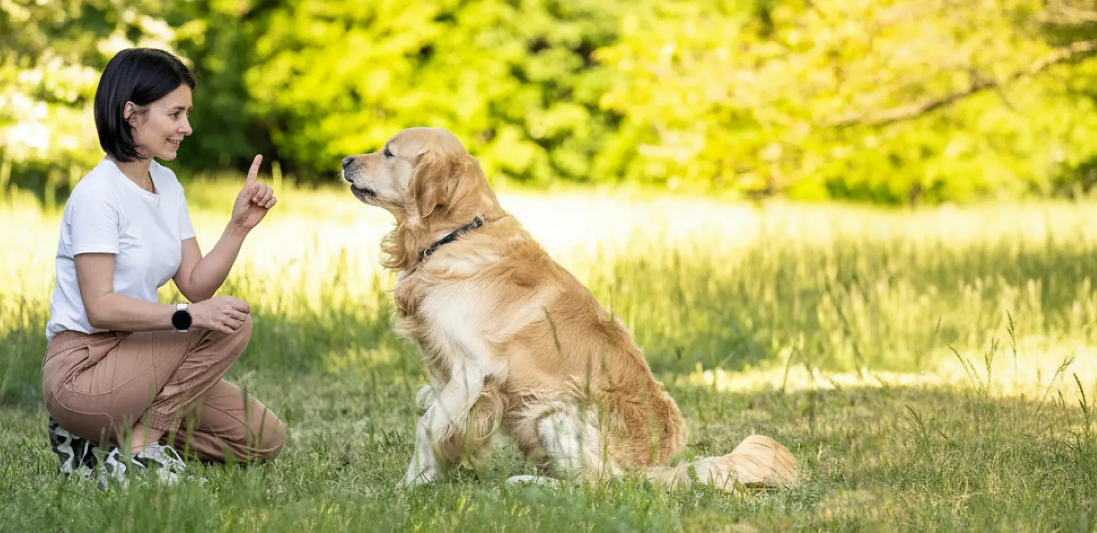 Đội ngũ chuyên gia tư vấn kỹ thuật xe công trình tại OtoTMT