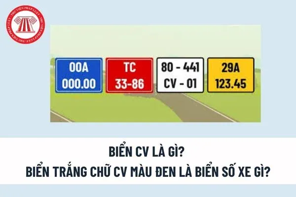 Biển CV nền trắng chữ đen — loại biển số cấp cho nhân viên hành chính kỹ thuật tại cơ quan ngoại giao và tổ chức quốc tế ở Việt Nam