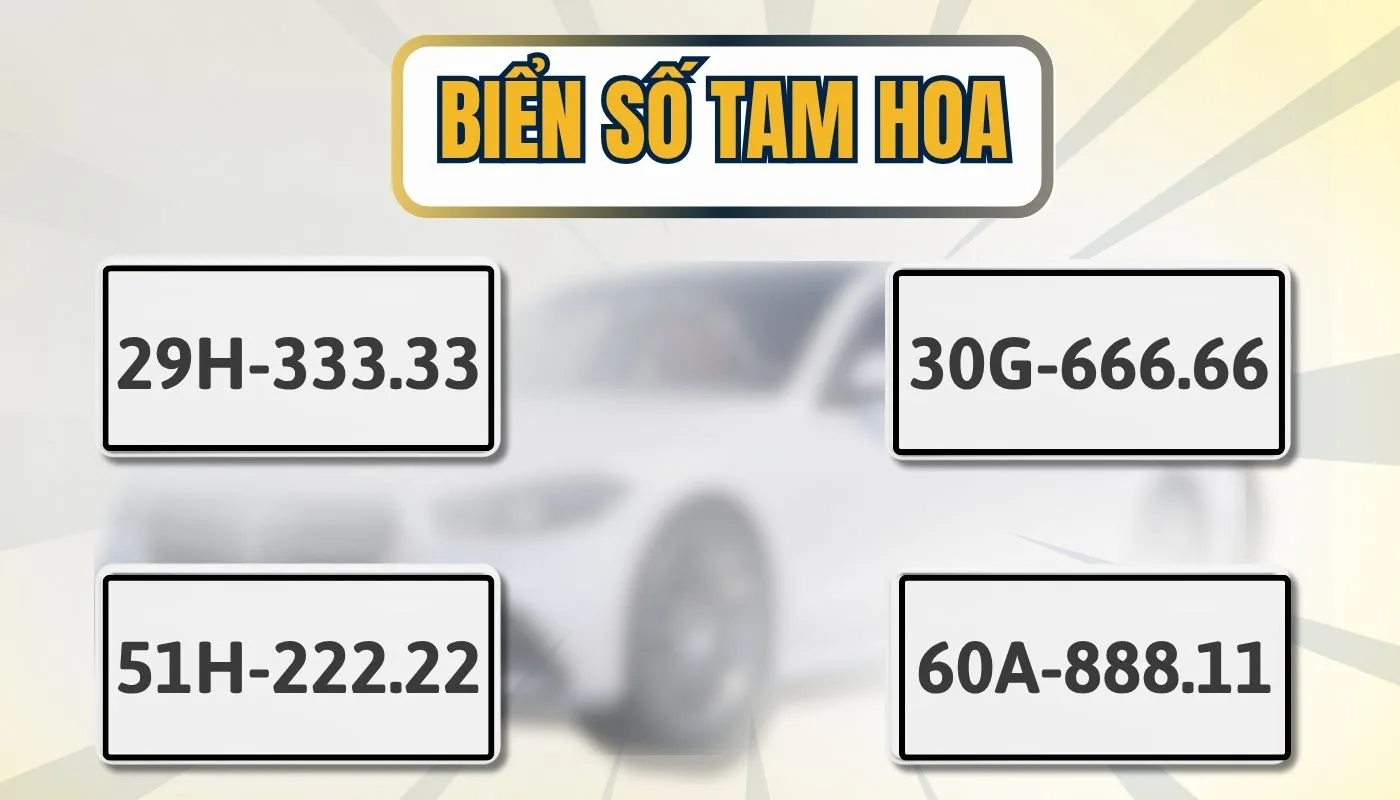 Biển số tam hoa được nhiều người ưa chuộng, mang lại cảm giác hài hòa, may mắn và thịnh vượng