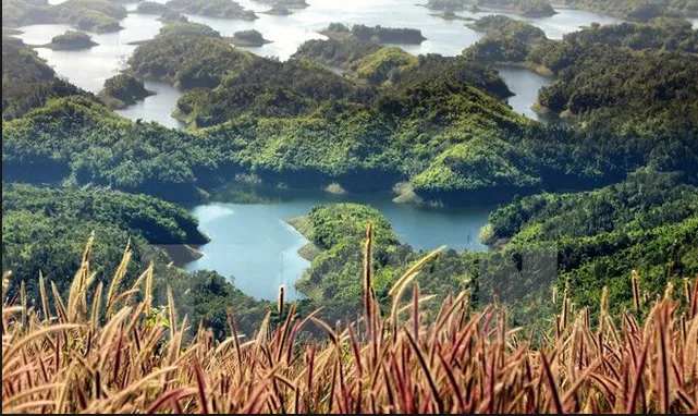 Biển số xe 48 thuộc về tỉnh Đắk Nông