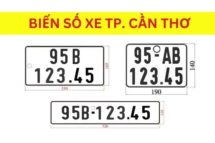 Biển số xe 95 thuộc thành phố Cần Thơ, được cấp cho nhiều loại phương tiện khác nhau