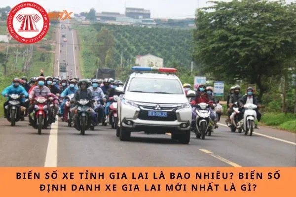 Biển số xe tỉnh Gia Lai là bao nhiêu? Biển số định danh xe Gia Lai mới nhất là gì?