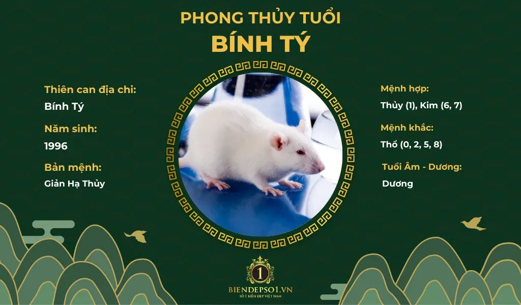 Phong thủy người tuổi Bính Tý 1996