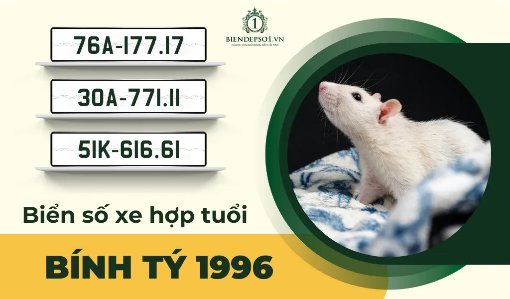 Cách chọn biển số xe hợp tuổi Bính Tý